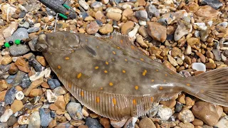 plaice fishing on the south coast sea fishing UK