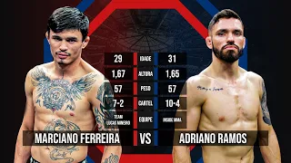 AO VIVO - THUNDER FIGHT 38