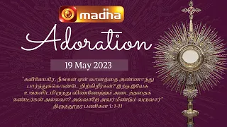🔴 LIVE 19 MAY 2023 Adoration 11:00 AM | Madha TV