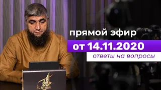 Прямой эфир №136  14.11.2020