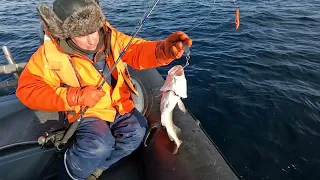 НАЧАЛО МОРСКОЙ РЫБАЛКИ В БАРЕНЦЕВОМ МОРЕ