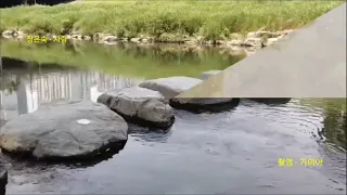 🌳어느봄날 거닐다🚶‍♀️