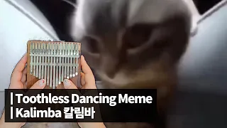 치피치피차파차파 밈 meme 칼림바 Cover