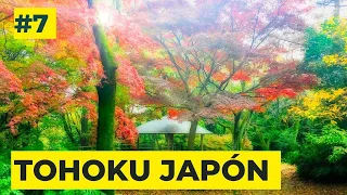 Españoles por el Mundo Japón: Un día en la vida de los españoles que viven en Tohoku.