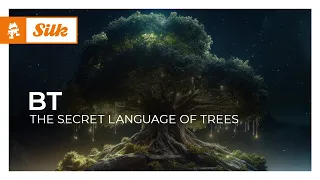 BT - The Secret Language of Trees (Full Album) [Monstercat Release]