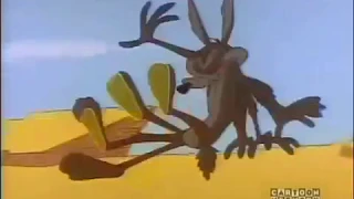 Bip Bip Roadrunner & Coyote 10- Nostaljik