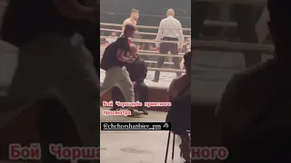 Бой Чоршанбе по боксу на "Правде"