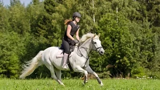 Yhteinen videopostaus - pellolla revittelyä!