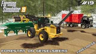 Building JENZ stationary wood chipper | Forestry on Geiselsberg | Farming Simulator 19 | Episode 19