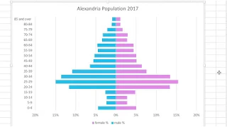 How to make a Population Pyramid in Excel