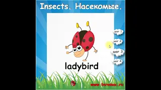 Учим английские слова. Тема : "Насекомые. Insects." Learning English words. The topic "Insects"