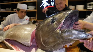 와.. 놀라운 녀석! 무게만 150kg, 얼리지 않은 생참치 해체쇼! / amazing tuna! 150kg raw tuna dismantling show / Korean food