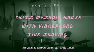 Gamma Vibes - House vibes(liveset)