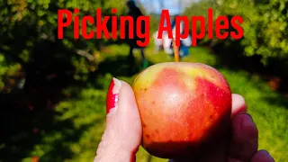 Afton Apple Orchard Family Adventure