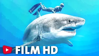 🔥 Shark Menace | Film Documentaire Complet en Français ☆