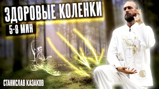 Комплекс Цигун ЗДОРОВЫЕ КОЛЕНИ (5-8 мин) // Станислав Казаков 🕉 Цигун для начинающих