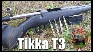 Carabine TIKKA T3 et tirs sur Sangliers ! Présentation et mon avis !