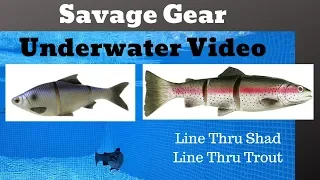 Savage Gear Line Thru Trout and Shad Underwater Video