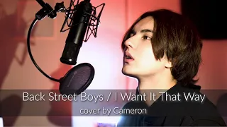 Backstreet Boys - I Want It That Way cover