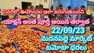 22-09-23 Madanapalle Tomato Market price Today || Today Tomato Market Rate in Madanapalle #today