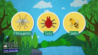 What Are The Main Bugs We Need To Worry About? | Nightly News: Kids Edition