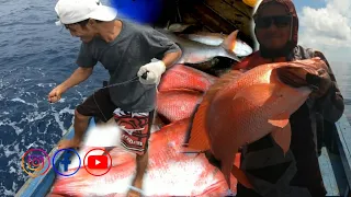 Pesta Strike Ikan Besar !!! Segampang Ini Mancing kakap merah besar & Ikan predator babon laut dalam