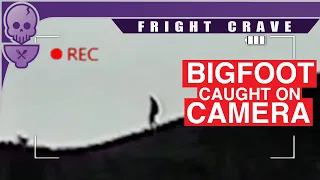 6 Mysterious Bigfoot Sightings Caught on Camera