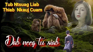 Dab neeg tu siab-Tub ntsuag liab thiab nkauj cuam10/11/2021