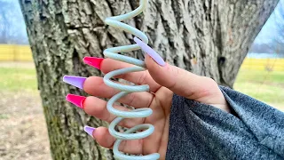 Backyard Tour, Tree Scratching ASMR with Camera Taps