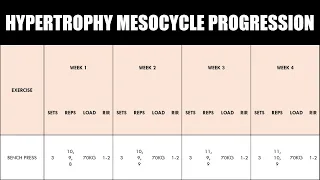 Mesocycle Progression for Hypertrophy Training | Do You Need to Apply Progressive Overload?