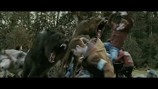 Twilight Wolves- Monster (full song)