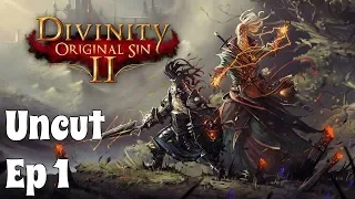 Let's Play Divinity: Original Sin 2 (Twitch Stream) Ep 1