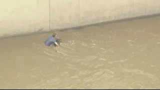 Dog rescue: Multiple people dive into rushing river to help save German Shepherd