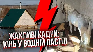 ❗️Все! В РФ почався ІСТОРИЧНИЙ ПОТОП. Вода критично піднялась. Затоплює найважливіший об’єкт