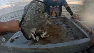 South Texas Shrimping #54 Tôm Nam Texas