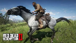 O DOMADOR DE CAVALOS parte 02 - Red Dead Redemption 2