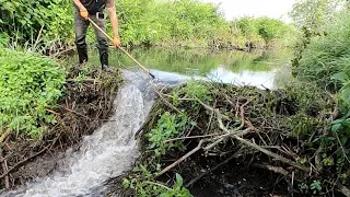 My Biggest Beaver Dam Removal So Far 2023 - Ez Reach Apparel !