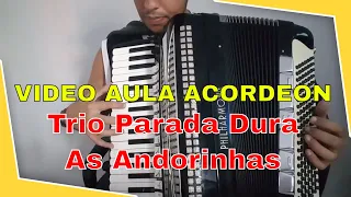 Video Aula Acordeon - Trio Parada Dura As Andorinhas