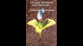 Los que siembran con lágrimas, felices cosecharán (Sal. 126:5-6)