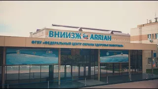 ФГБУ "ВНИИЗЖ"