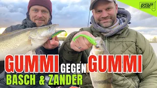 Angeln auf BARSCH & ZANDER | Gummischlacht auf Stachelritter |  WACKELARSCH vs. GAPSHAD