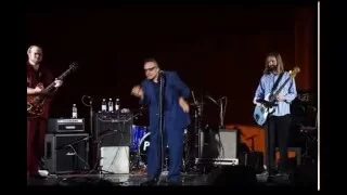 Rick Estrin & The Nightcats - Live at DANUBE BLUES & JAZZ Festival - GALATI - november 2014