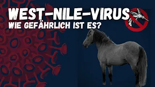 Wenn ein Mückenstich tödlich enden kann😳 Das West-Nile-Virus ist in Deutschland angekommen! 💉