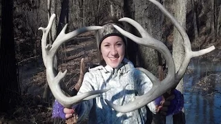 Dumb Dumb, a story of a ten year hunt for a massive buck.