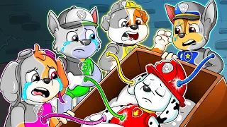 Marshall is Missing Color, But Please Wake Up!! - Paw Patrol Ultimate Rescue - Rainbow Friends 3