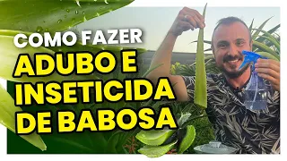 Como fazer um adubo e inseticida caseiro com babosa | Elimine as pragas do seu jardim