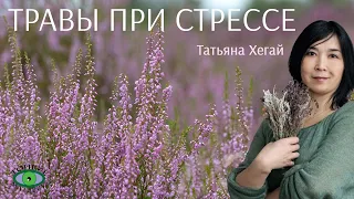 🌿 Травы при стрессе. Городское травничество. Татьяна Хегай