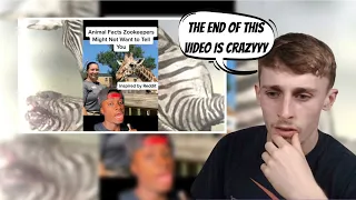 Reacting to Animal Secrets Zoos Don’t Want You To Know