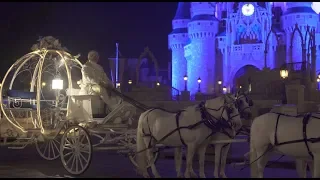 How Walt Disney World creates magical and memorable weddings | GMA