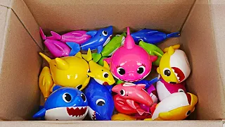 박스안에 상어가족과 과일 색깔 맞추기 놀이! 색을 맞추고 어항속으로 풍덩! | 핑키팝토이